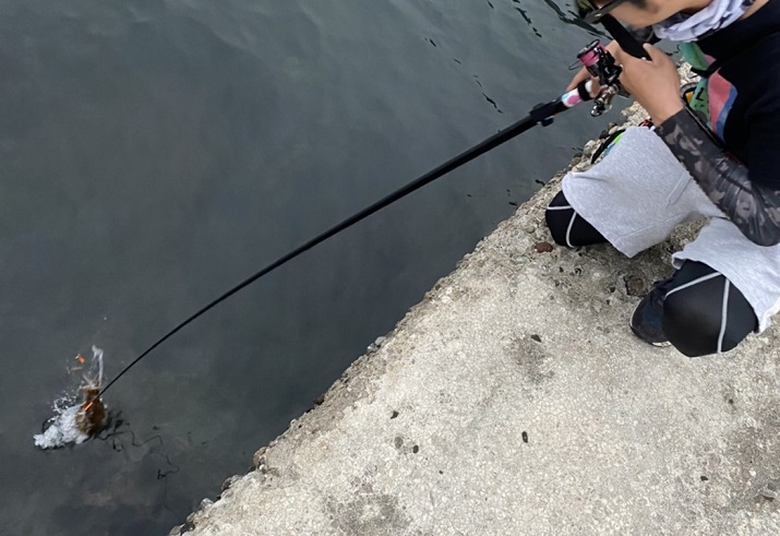 エギングの基本タックル・仕掛けは？揃える道具とセッティングのコツを  