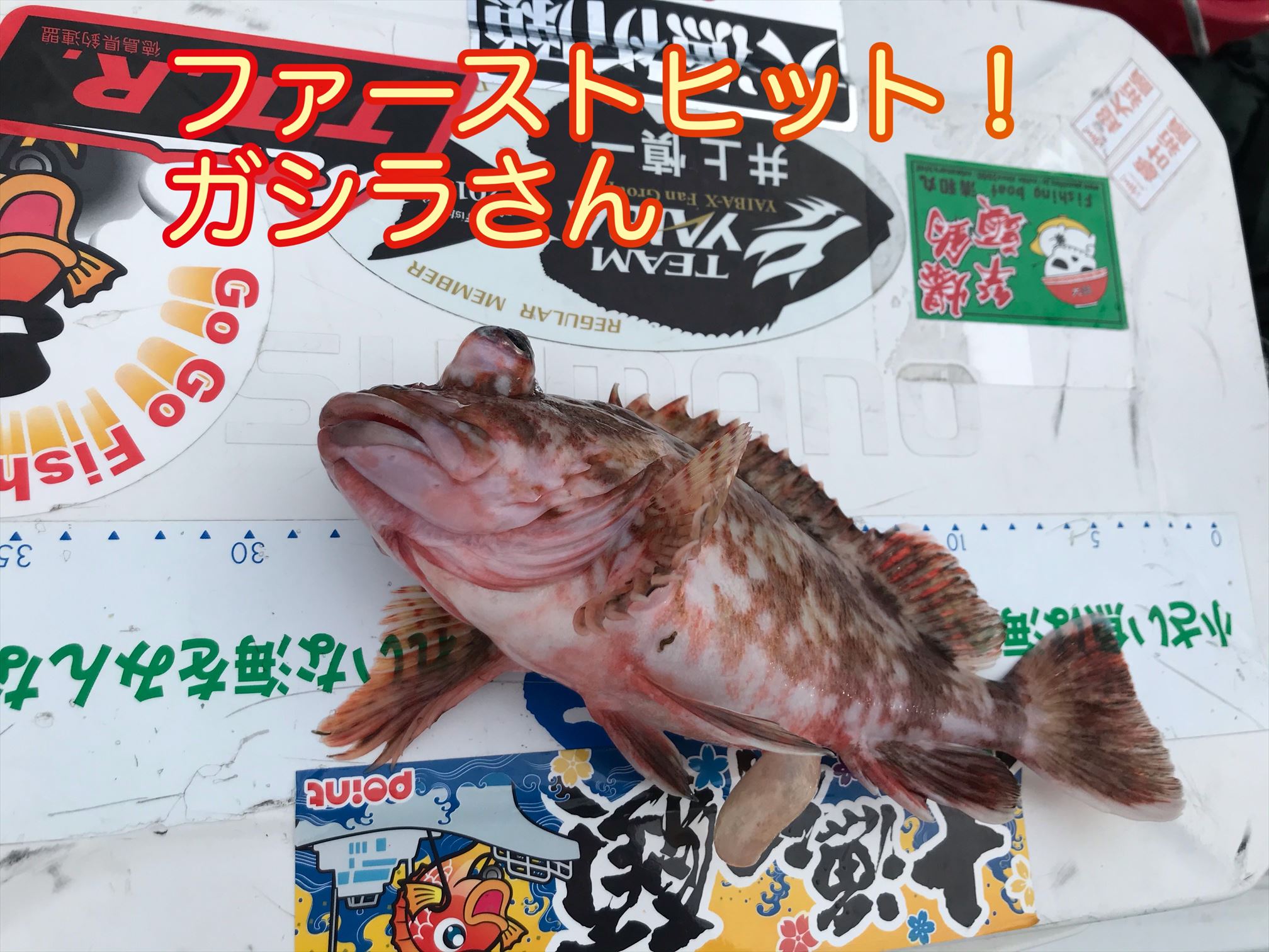 阿波釣り便り～鳴門つるぎタイラバ釣行編 | 釣具のポイント 