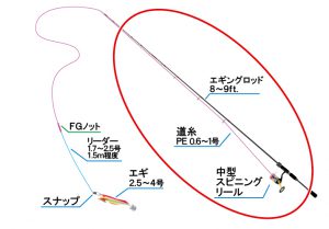 エギングの基本タックル・仕掛けは？揃える道具とセッティングのコツを 