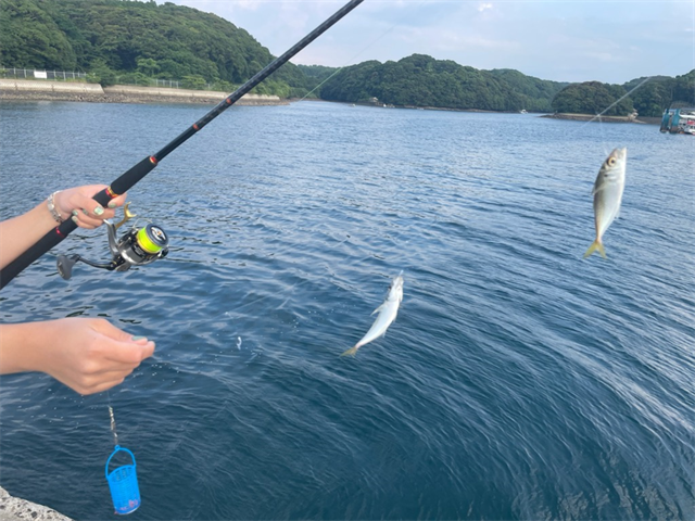 釣具のポイント