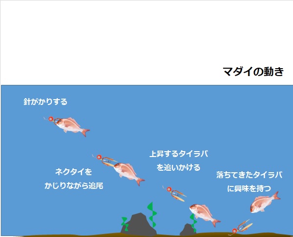 初心者必見】タイラバの釣り方講座！釣れる条件から動かし方までコツを 