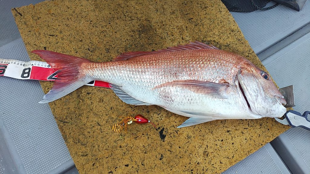 初心者必見】タイラバの釣り方講座！釣れる条件から動かし方までコツを 