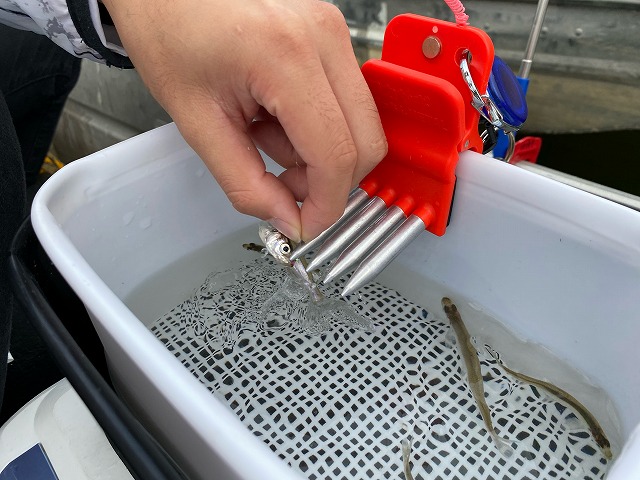 初心者も快適に楽しめる！ワカサギ釣り講座！必要な道具から釣り方の  