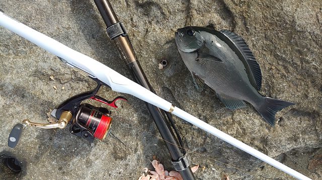 フカセ釣りの始め方！初心者が揃えるべきタックルや装備・持ち物一式を 