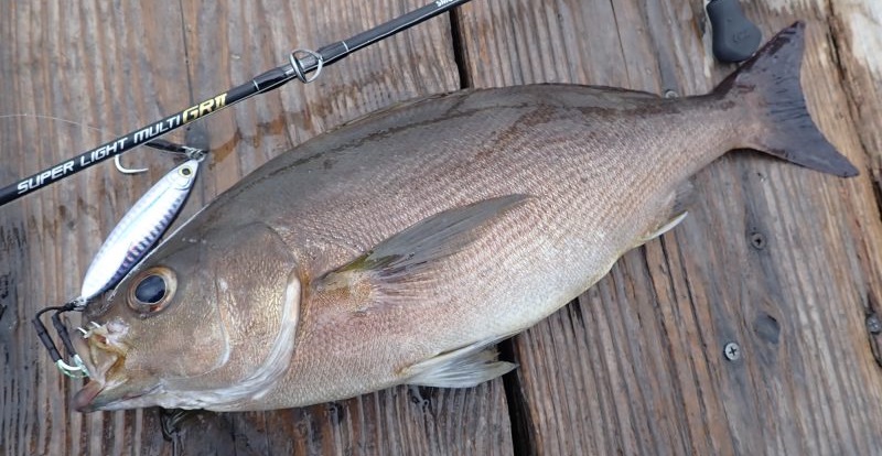 釣り竿セット タイラバ ジギング 大物対応 ジギングリール 船釣り 左 