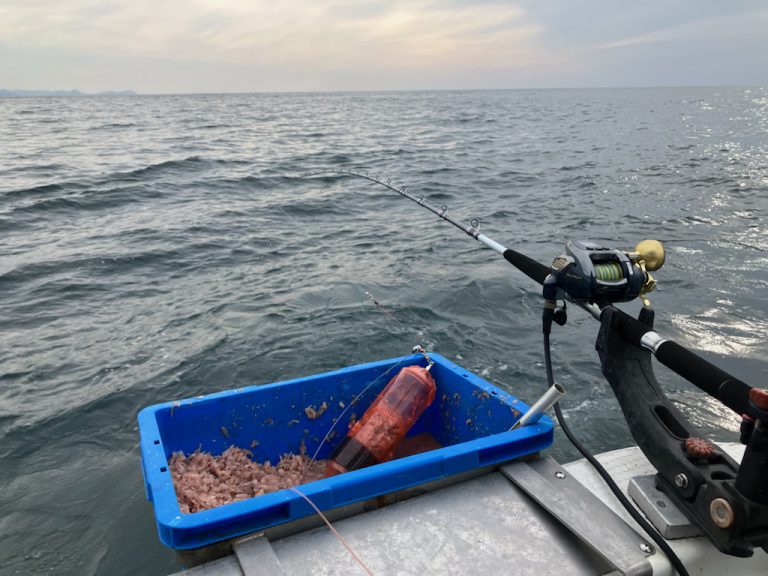 初心者に伝えたい船釣りの心得！初めての船釣り前に知っておく  
