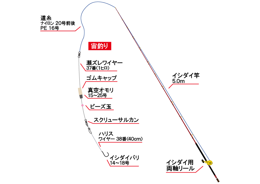 石鯛釣りの仕掛けや釣り方のコツとは？釣れるポイントやおすすめの時期 