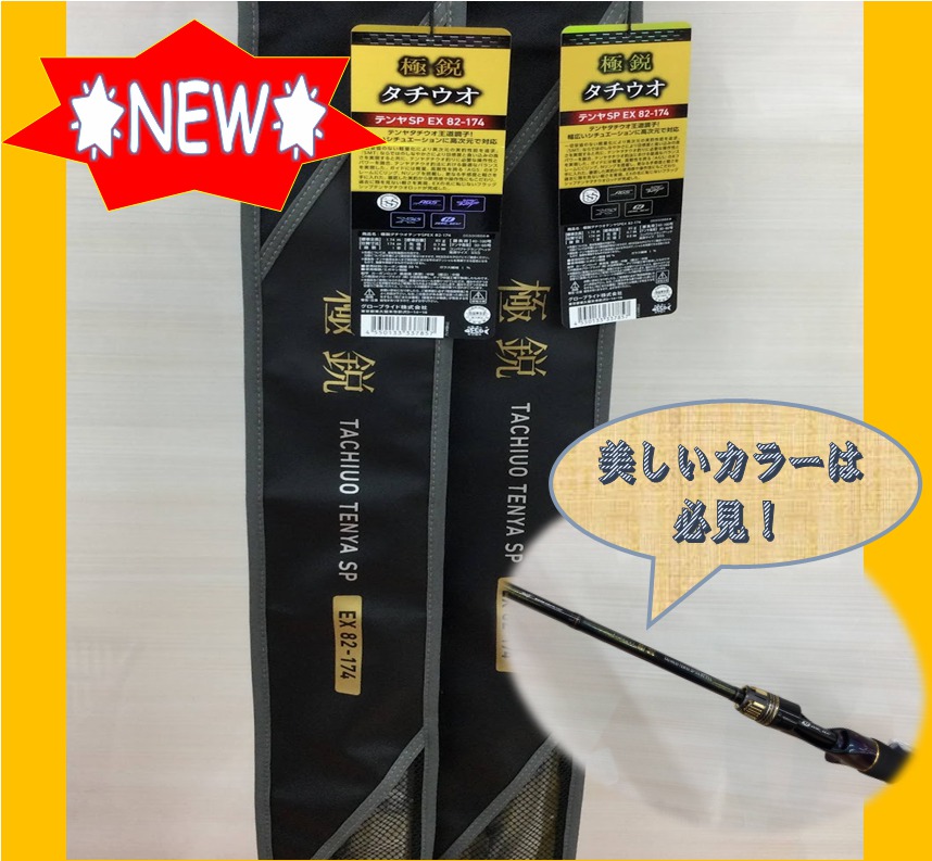 極鋭タチウオテンSP82-182AGS （ダイワ 極鋭タチウオテンヤSP 82 