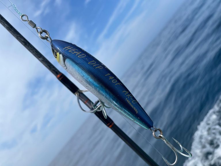 キハダマグロを釣り上げたい！仕掛けのコツやタックル、おすすめの時期 