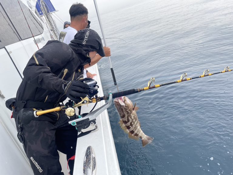 アラ（クエ）》の釣り方とは？おすすめのタックルや仕掛けのコツを 
