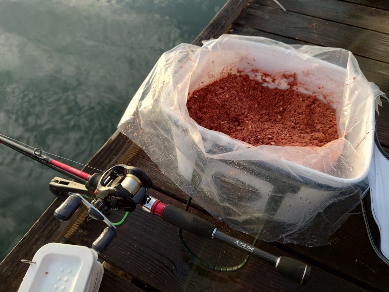 ダゴチン釣りで狙える魚とは？おすすめのエサやタックル、釣り方のコツ 