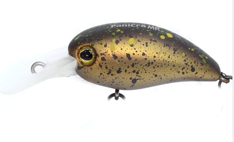 田中ブログ 【滋賀県でエリアトラウト！】 | 釣具のポイント