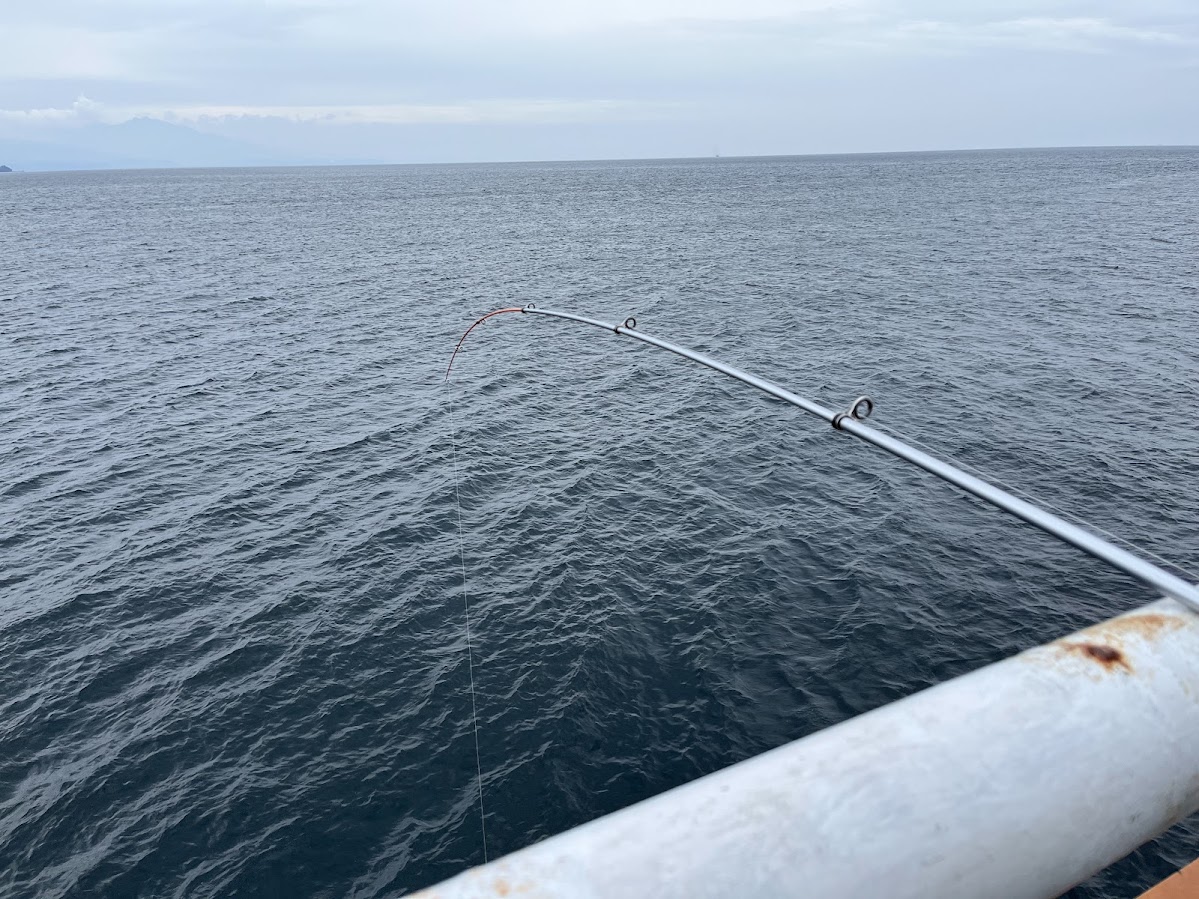 新 鹿児島の海釣り 2冊セット 新 鹿児島の海釣り 2冊セット 新 鹿児島