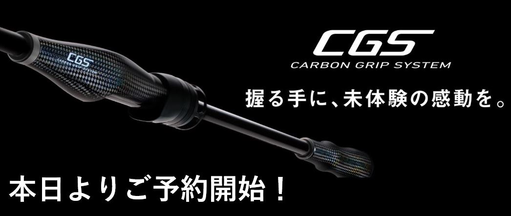 ご予約】ダイワ・ストイストRT CGS80ML | 釣具のポイント
