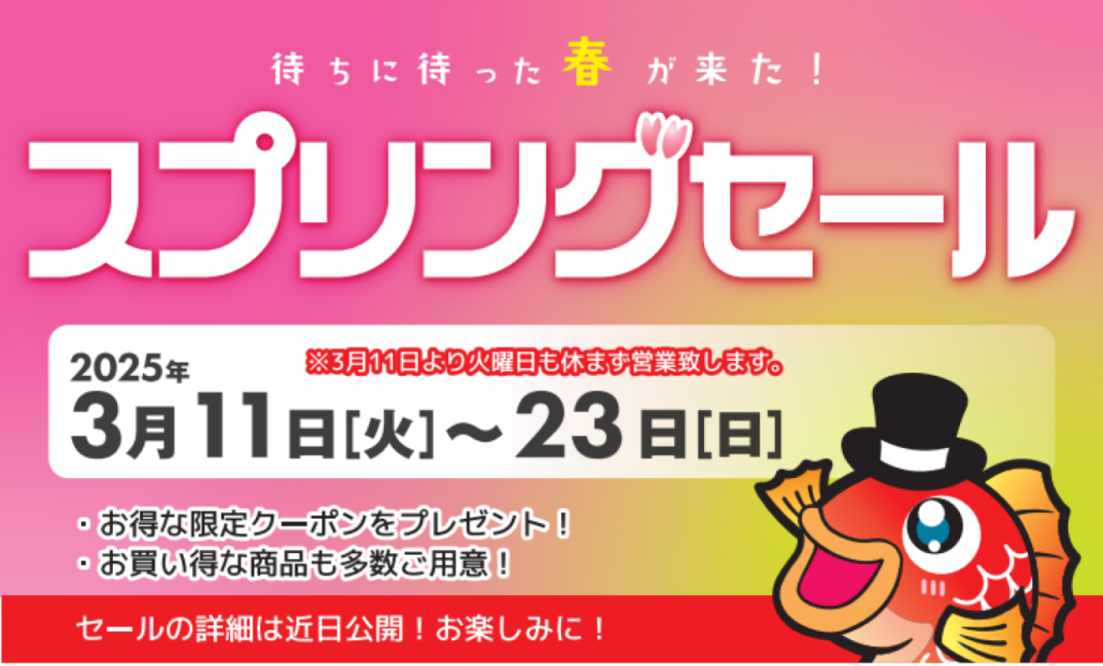 近日セール開催！！ | 釣具のポイント