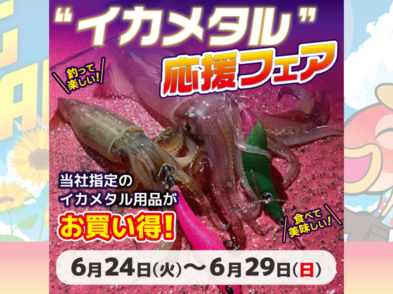イカメタル応援フェア開催中！夏の陣は7/1～始まります！ | 釣具のポイント