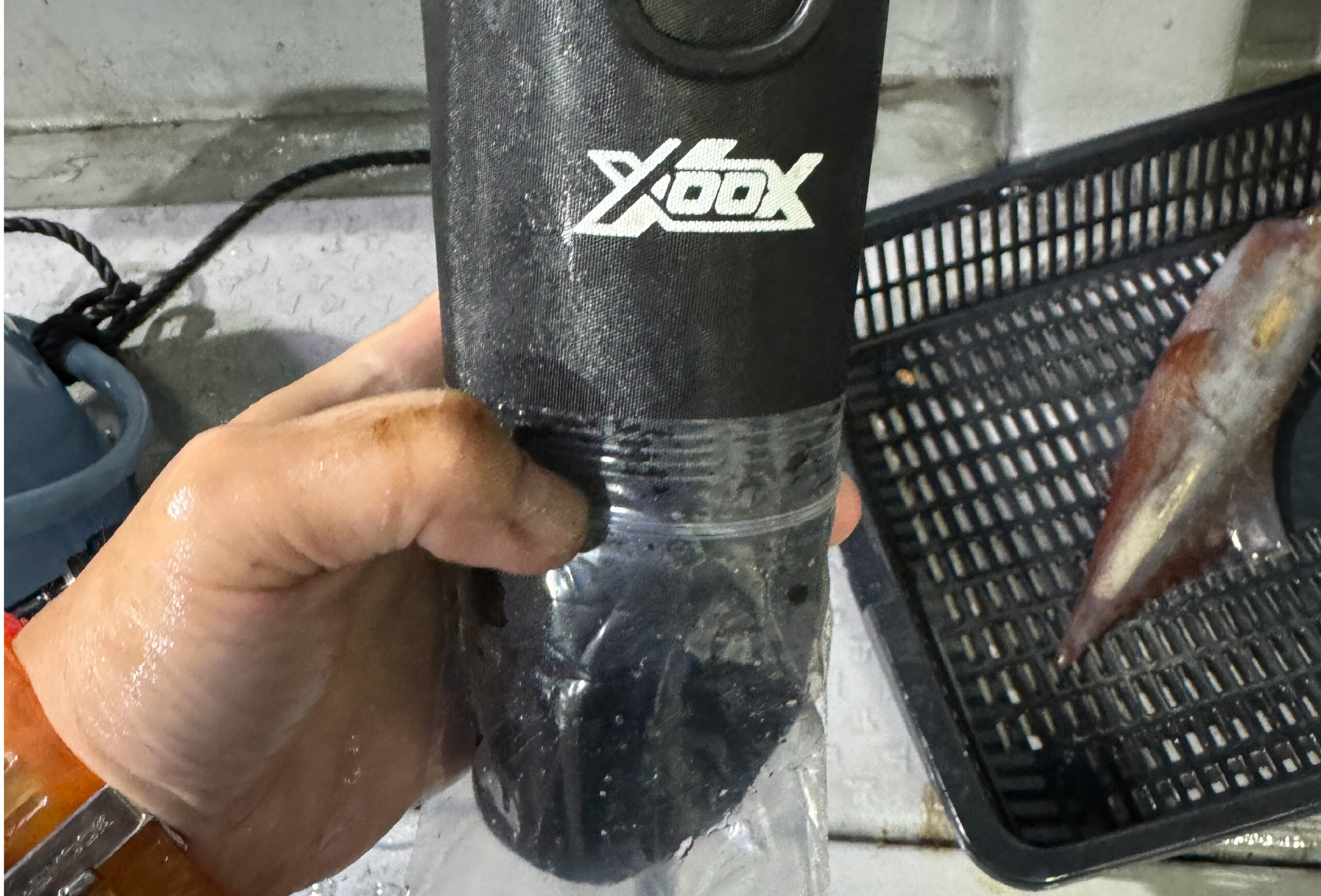 XOOX】船イカ特集！話題の新製品を紹介！ | 釣具のポイント