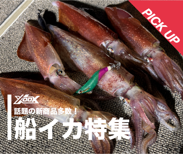釣具のポイント