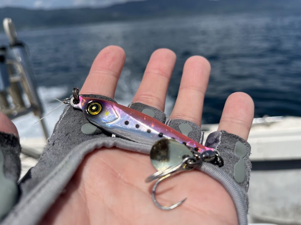 店長折田の錦江湾釣行～海鱗SLJ編～ | 釣具のポイント