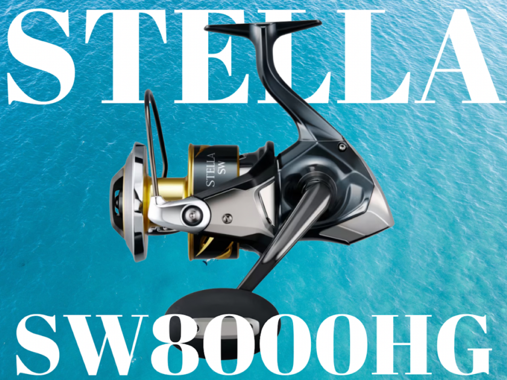 シマノ】ステラSW8000HG待望入荷！ | 釣具のポイント