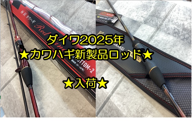 ☆新商品☆【極鋭カワハギRTボトム2】【瞬鋭カワハギEX-MHH174】入荷