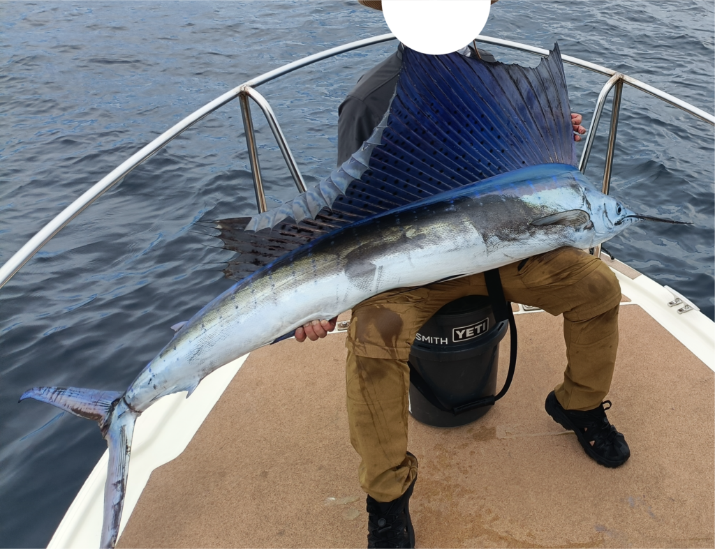 憧れのセイルフィッシュ（バショウカジキ）を釣りに行ってきた！【海の