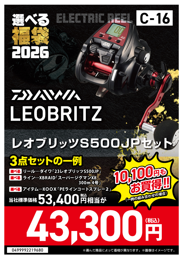 選べる福袋2026【C-16_レオ