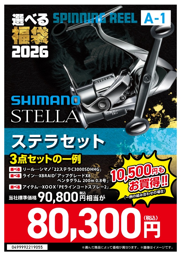 選べる福袋2026【A-01_ステラ