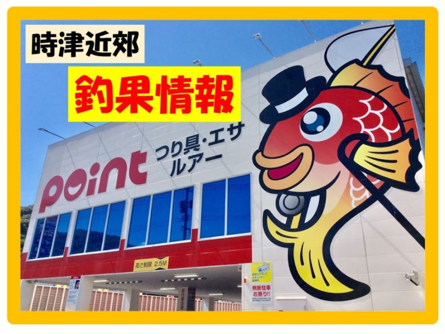 新商品】大型ハンドルノブ入荷！！シーファルコン「ファルコンZ