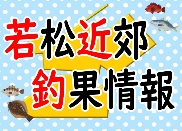 新商品】ジョインテッドクロー収納ボックス「ガンクラフト×マグバイト