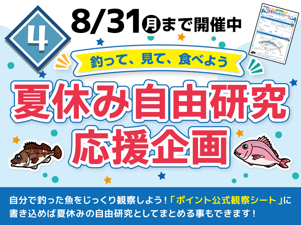 夏休み自由研究応援企画