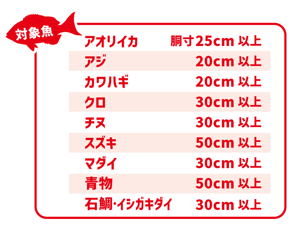 【エリア名】対象魚