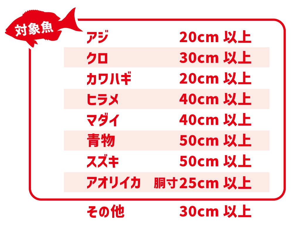 【エリア名】対象魚