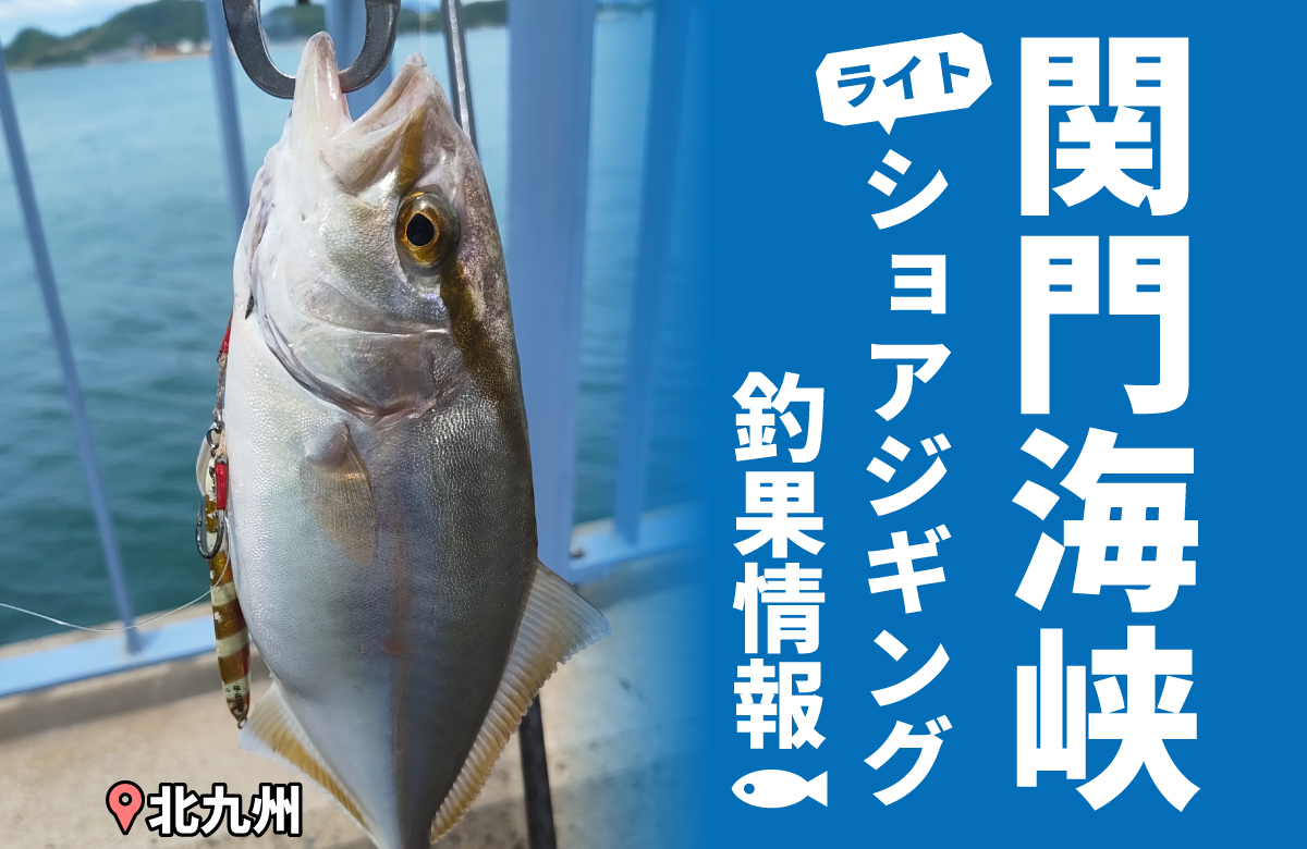 激レア中古釣具】『極上エギが入荷したよ～』📢✨(≧◇≦)🎶 | 釣具の