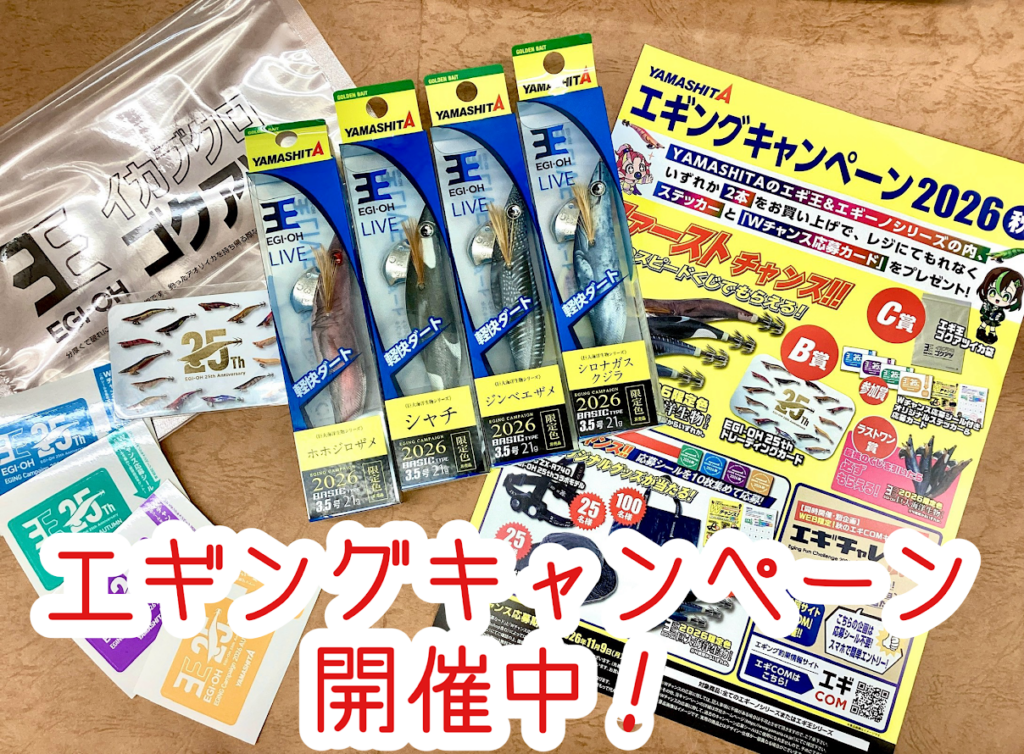 エギング　まとめ売り イベント開催中】ヤマリア エギングキャンペーン2026秋 開催中