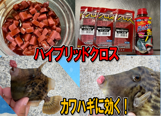 待望入荷】アニサキス『アニサキスッテ20号』 | 釣具のポイント