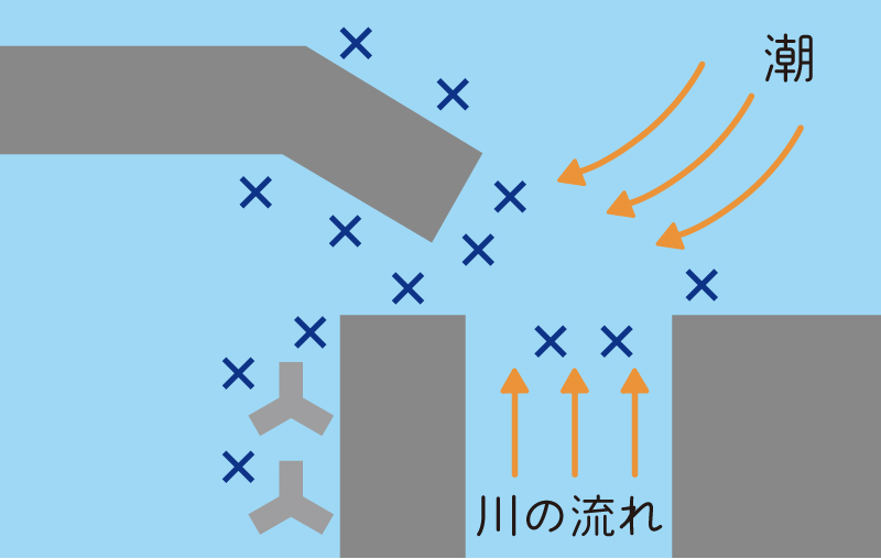 狙う場所