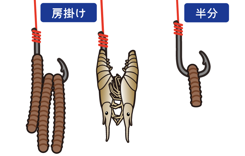 エサの付け方